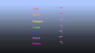spline assignment