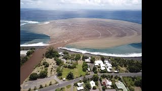 Seasteading! Where Does the Poop Go