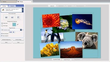 Tutorial on creating picture collage in Picasa.avi