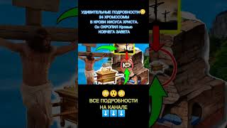 УДИВИТЕЛЬНЫЕ ПОДРОБНОСТИ О КРОВИ ХРИСТА