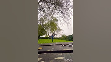 Collies natural footy skills #football #dog #shorts #video