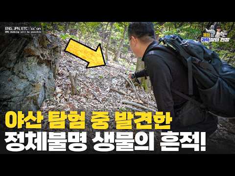 전문가도 놀란 야산 속 정체불명 생물의 흔적! [with 국립생태원]