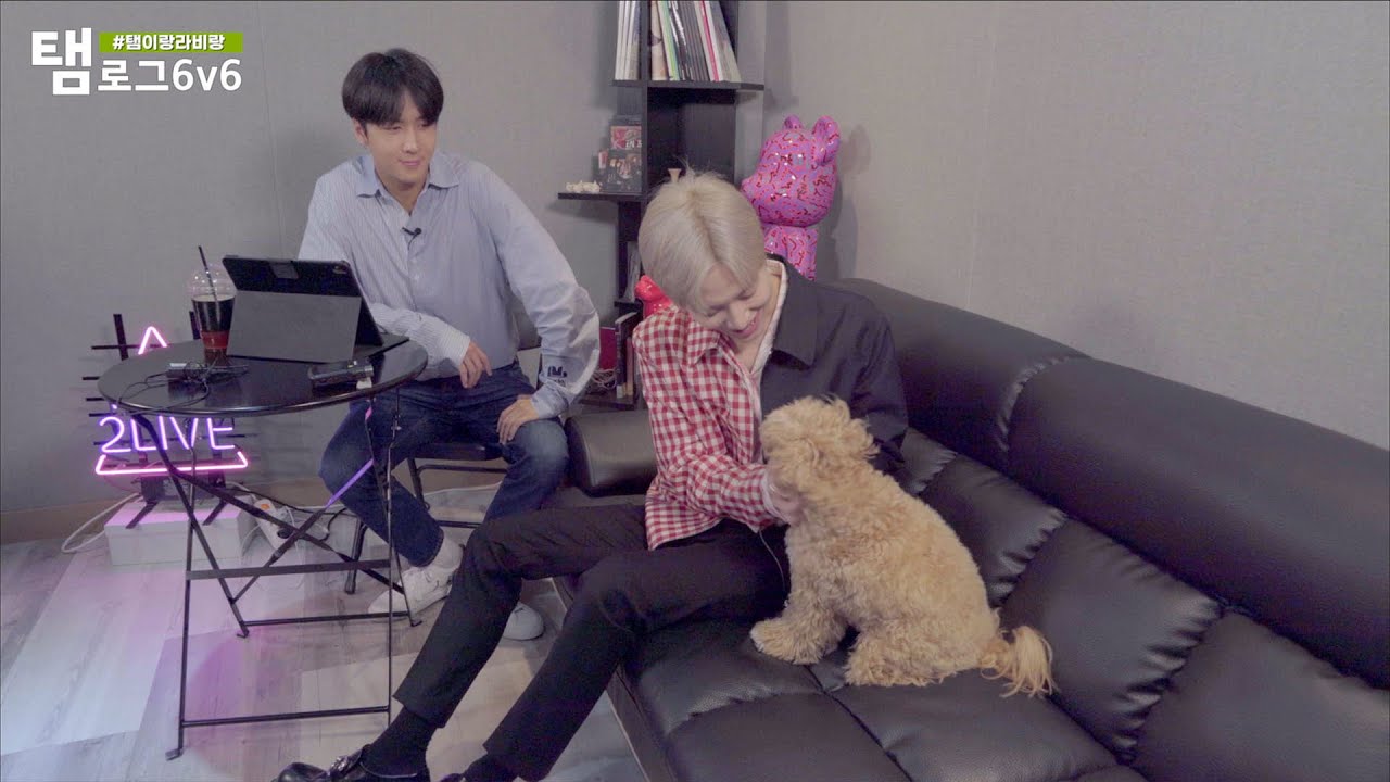 [탬로그 6v6 📹] TAEMIN 태민 #탬이랑라비랑🔎