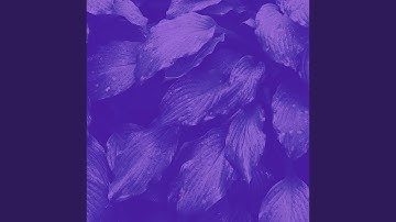 Outstanding Backdrops for Recharging Rest