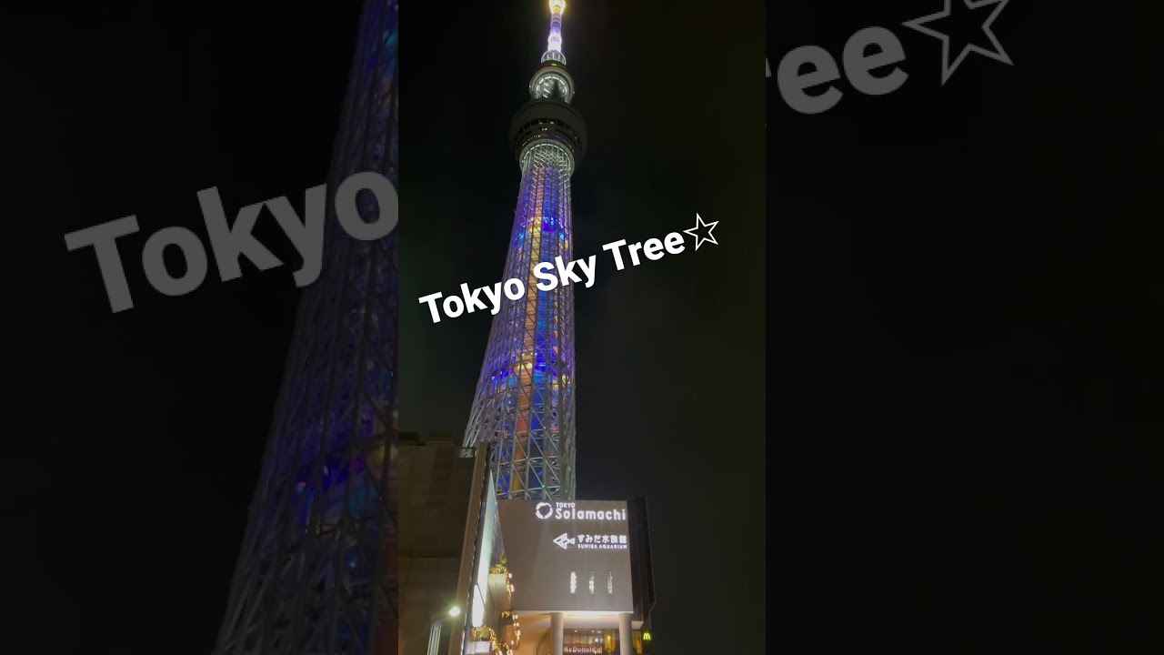 【4k】Tokyo Skytree [東京スカイツリー]  2022/1/9 Tokyowalk
