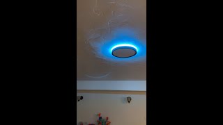 Celebrity TALOYA 2 Pack Black Smart Ceiling Light Flush Mount LED WiFi, Compatible with Alexa Google Home, Dim Net Worth