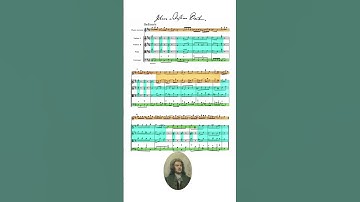 Thumbnail of Bach Orchestral Suite No. 2 - Badinerie