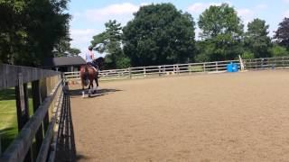 Cooley Jelly - Flatwork