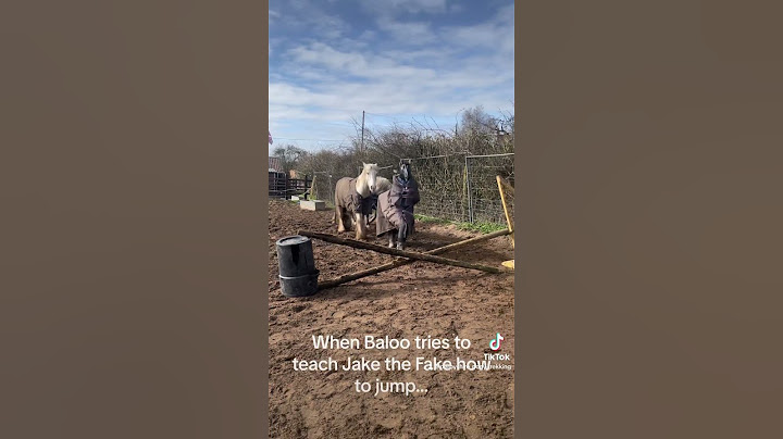 When Baloo tries to teach Jake the Fake to jump!