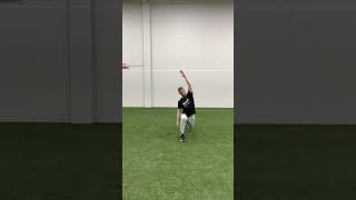 Dynamic Mobility Series Spiderman Lunge Rotations