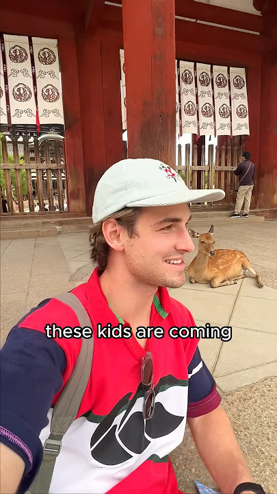 Stopped by some kids 🇯🇵🦌 #japan #travelvlog