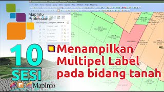 Menampilkan Multiple Label Bidang Tanah pada MapInfo 12.5