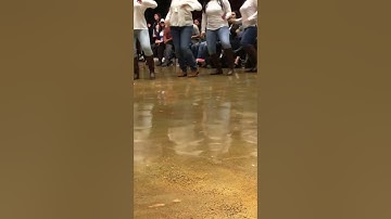 So You Think You Can Stroll: Sigma Lambda Gamma - Round 2