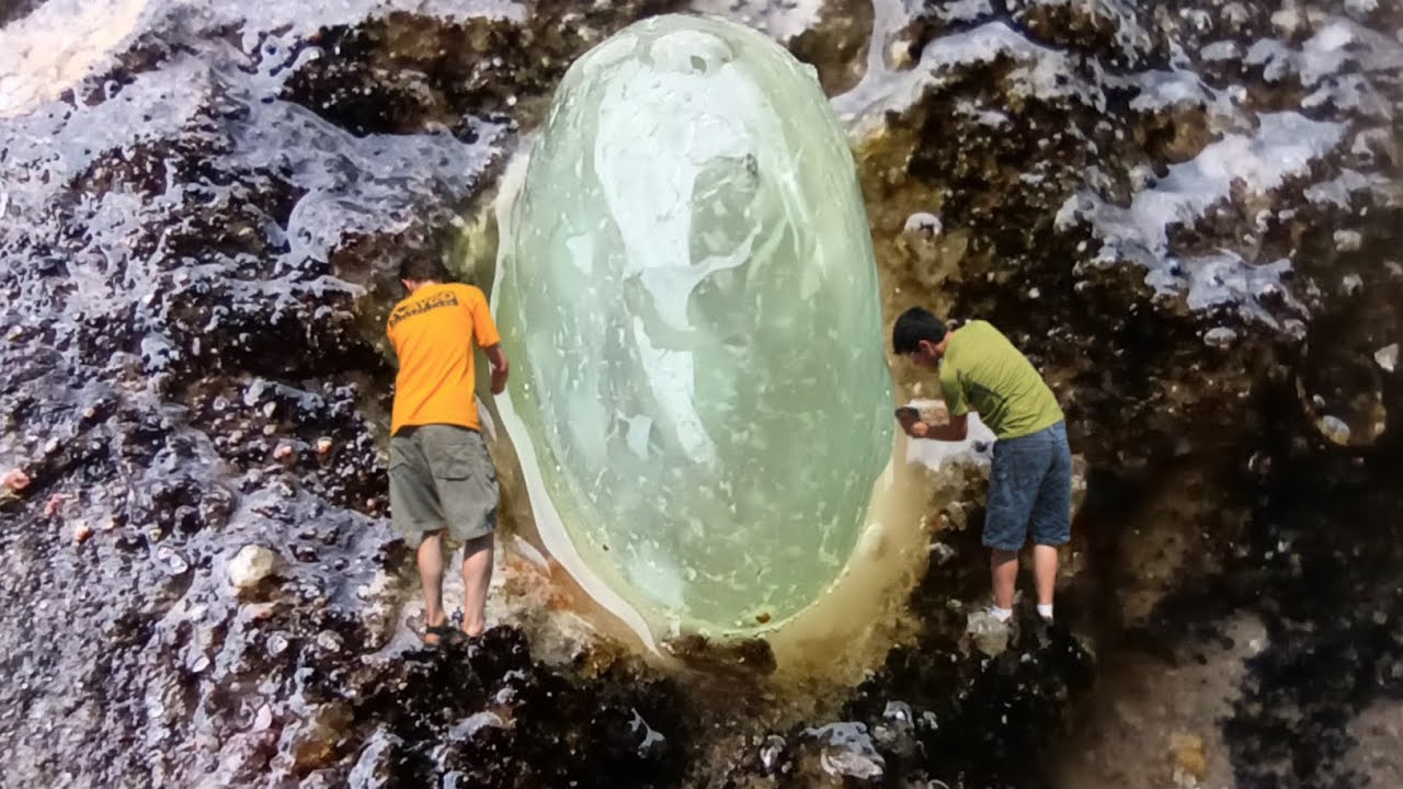 How to find DiamondAmazing gem Mininglucky man found a lot of gems crystal at the volcano