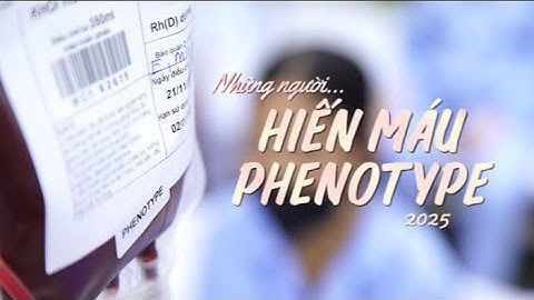 Phóng sự: Những người hiến máu hoà hợp Phenotype 2025