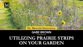 Utilizing Prairie Strips on Your Garden – Interview With Gabe Brown