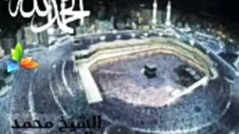 سورة الطور، الشيخ محمد المحيسني