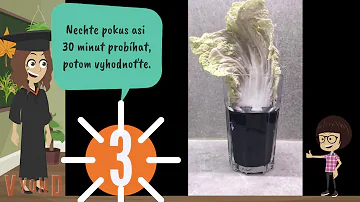 Proč se zalijí chlorovanou vodou?