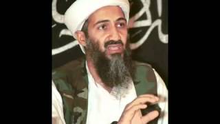 fonejacker immigration - Sway (Skit) Jafool, terry tibs, e4, channel 4, dvd, im a mouse
