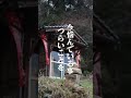 この動画が表示されたら幸せの前兆‼︎幸運が舞い込んでくる　#Shorts