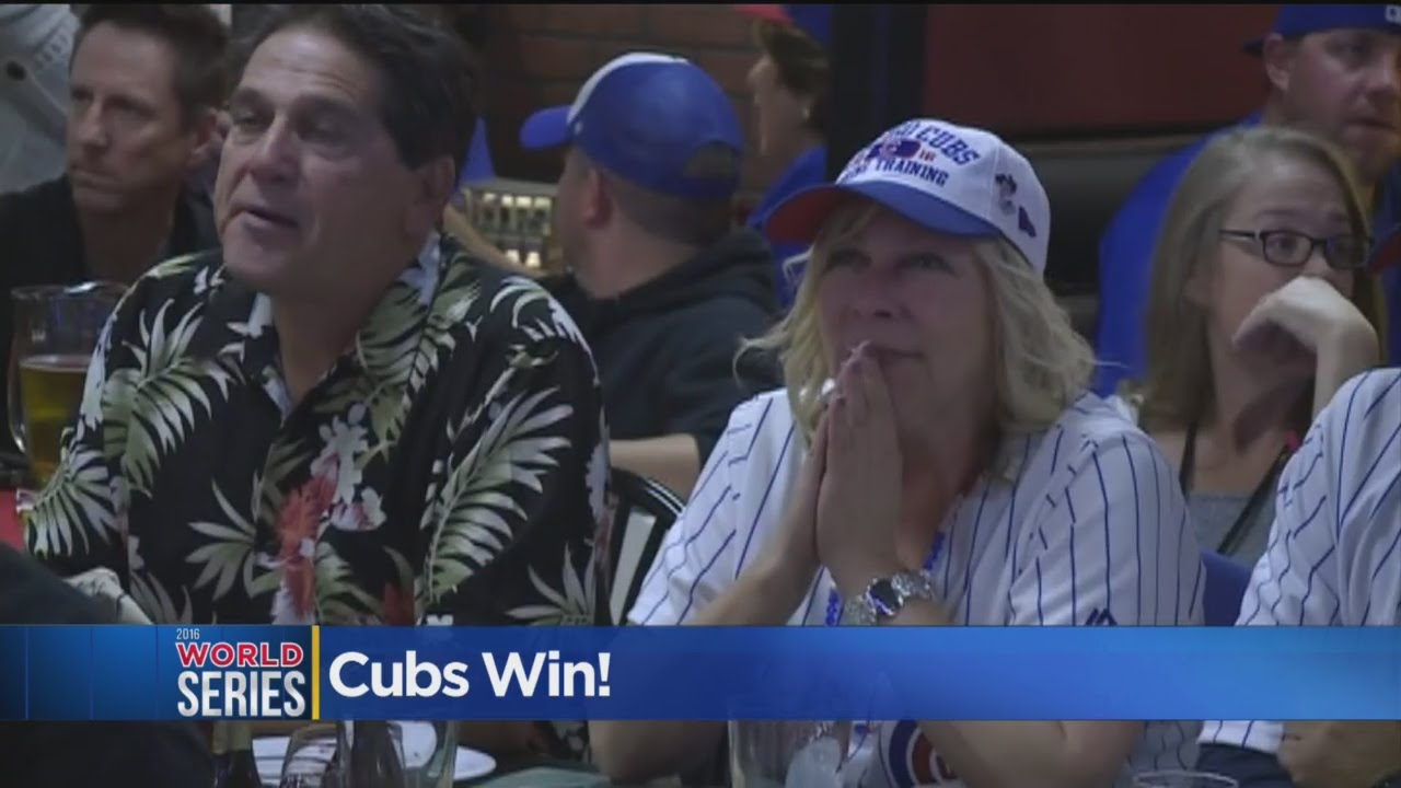 Chicago Cubs Head to World Series, Chicago News