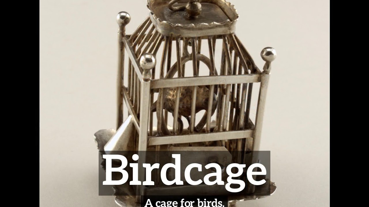 What is Birdcage? How Does Birdcage Look? How to Say Birdcage in