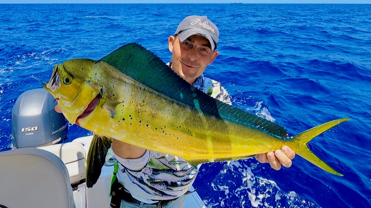 FLORIDA KEYS FISHING! Ultimate adventure - Inshore, Offshore, Diving, Catch & Cook | The Fish Locker