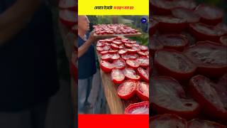 টমেটো শুকিয়ে অসময়ে বেশি দামে বিক্রি করেলাভবান হচ্ছে কৃষক | Tomato fruit #shorts #shortsfeed #lifehac