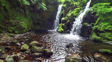 Xiaomi Yi Sport Cam on a Feiyu Tech FY-G4