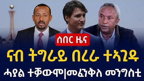 ሰበር ዜና ናብ ትግራይ በረራ ኣጊዳ|ሓያል ተቓውሞ|መፈንቅለ መንግስቲ