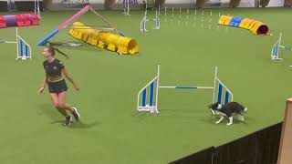 Dobby - seminar with Tereza Kralova / 8|2025