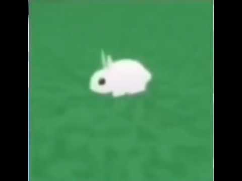 GO F YOURSELF Rabbit Meme