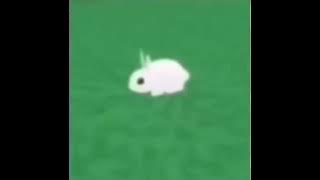 GO F#%@ YOURSELF rabbit meme