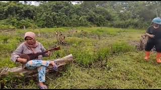 Kesenian Musik Tradisional  Tingkilan Kutai  Kalimantan