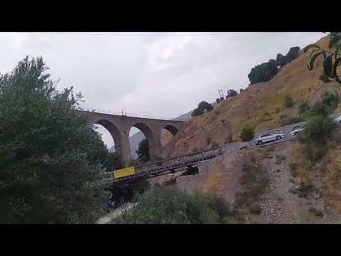 رویای طبیعت ماجراجویی در بیشه پوران