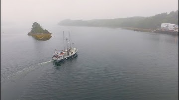 What is seafood fraud?