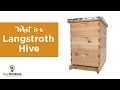 What Is a Langstroth Hive?
