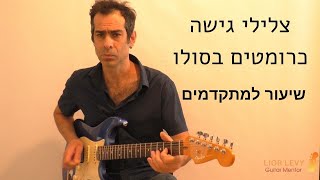 צלילי גישה כרומטים בסולו - שיעור למתקדמים