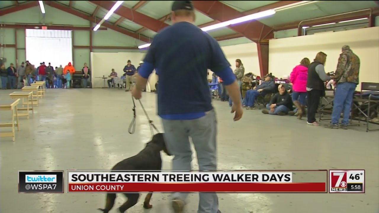 Hunters, dogs come to Union Co. for Southeastern Treeing Walker Days