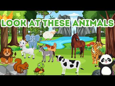 🦁🔊 Animals Sounds | Animal sounds with Shifa and Keya | Funny Animal Sound. #shfa #shifa #keya