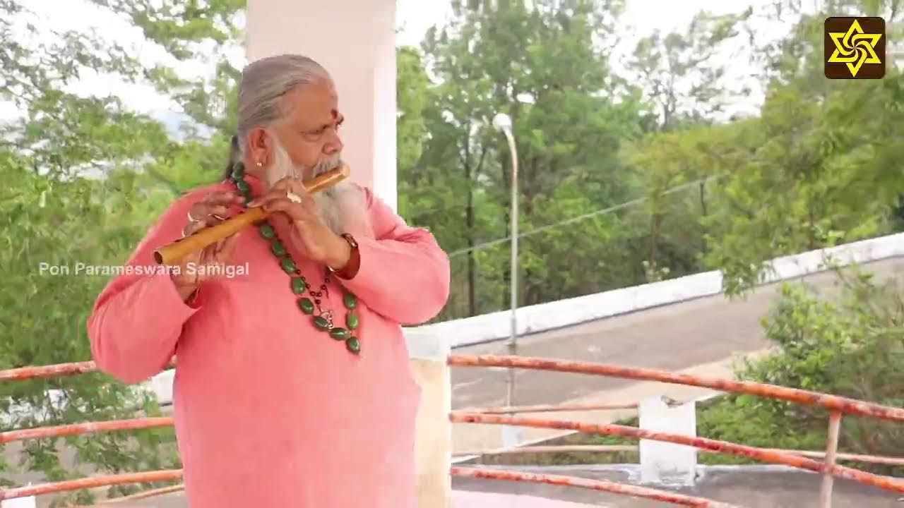 Live Aadi amavasai _ sirappu homam YouTube