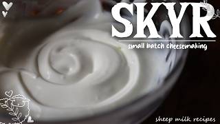 ঘরে বসে কীভাবে নিখুঁত স্কাইর (Skyr) তৈরি করবেন 🥛🐑 screenshot 3