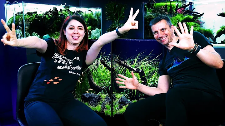 Questions from a BEGINNER about the FIRST PLANTED AQUARIUM! - Interview with Chills