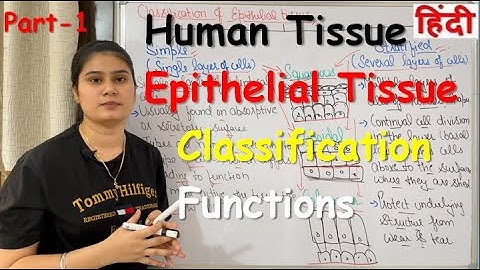 Tissue in Hindi | Epithelial Tissue | Functions | Classification | Part-1