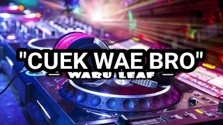 'CUEK WAE BRO (SLEBEW) - WARU LEAF' (Video Lirik)