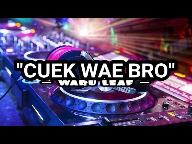 CUEK WAE BRO (SLEBEW) - WARU LEAF (Video Lirik) class=