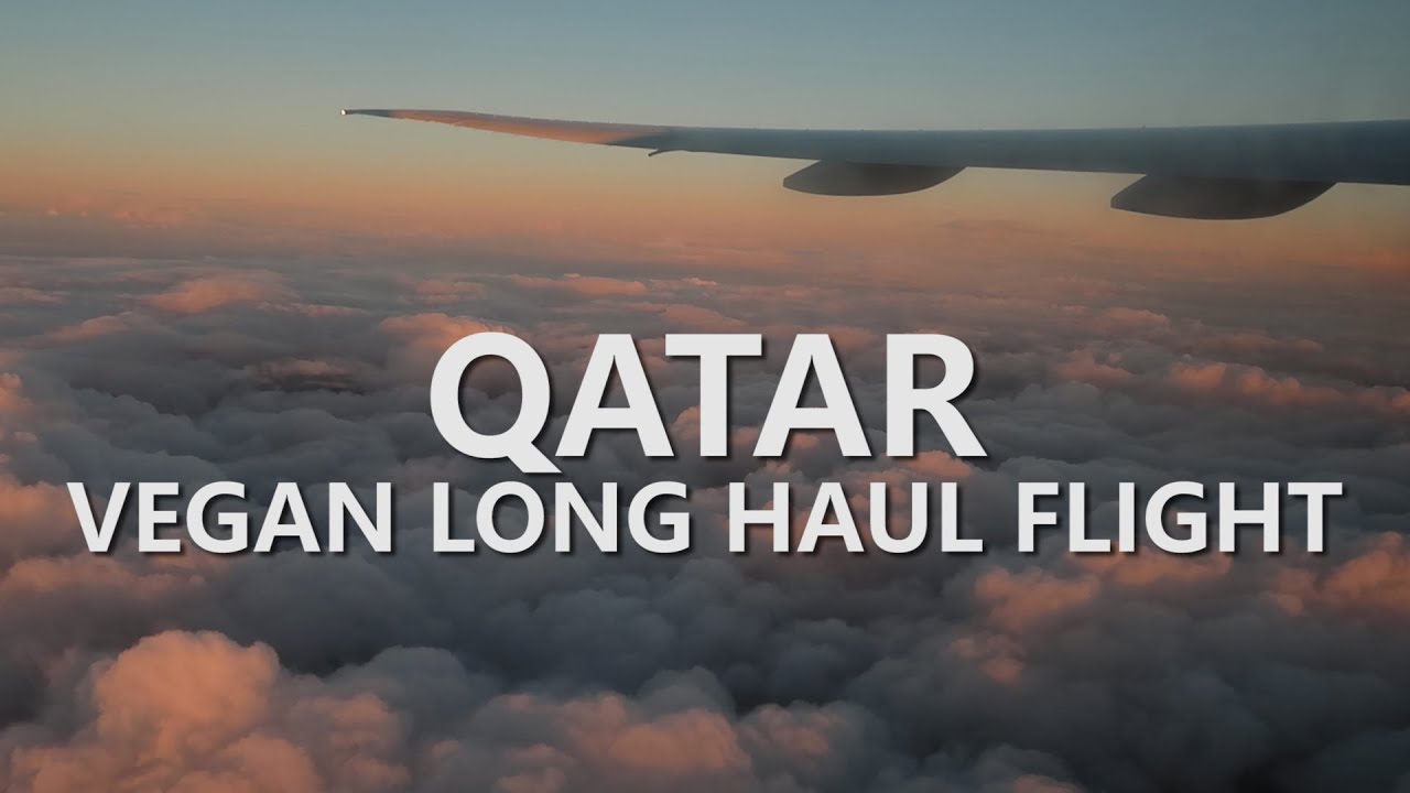 QATAR AIRWAYS VEGAN LONGHAUL FLIGHT // LONDON TO AUCKLAND // PICKING UP OUR CATS YouTube