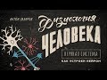 2. Как устроен нейрон. Физиология человека - 8 класс