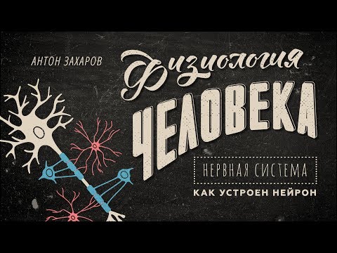 Видео: Детерминанты линейного роста, прерывистые у детей с диареей средней и тяжелой степени в глобальном многоцентровом исследовании кишечника