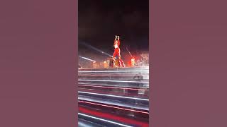 Trio kucing garong - Kucing Garong Monas week